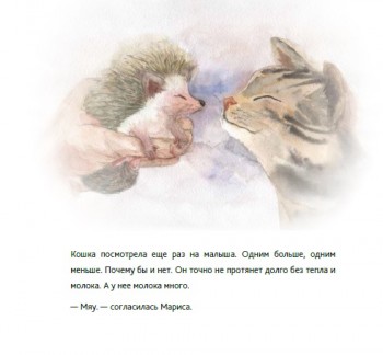 Кусочек книги