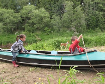 Солнечного настроения тем, кто ищет своих детей  - 36906008_1783671601727037_2147088961980334080_n.jpg