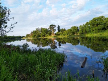 Где мы живем - hmAJUtI4LnI.jpg