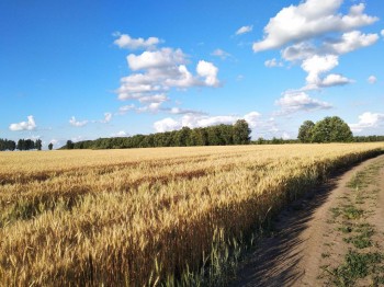 Где мы живем - BngfOYRmCsc.jpg