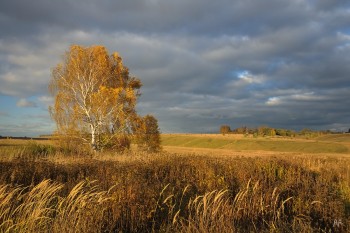 Где мы живем - 759701.jpg