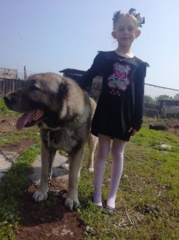 Филей по документам Ахиллес