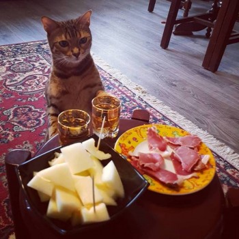 Наш вариант - 37044867_1763724483710292_2575097420987760640_n.jpg