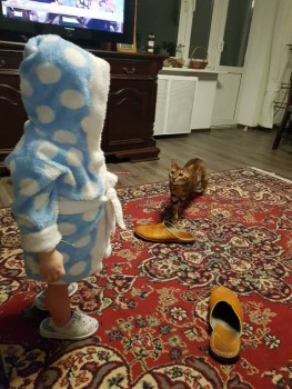 Наш вариант - 20180201_194930.jpg