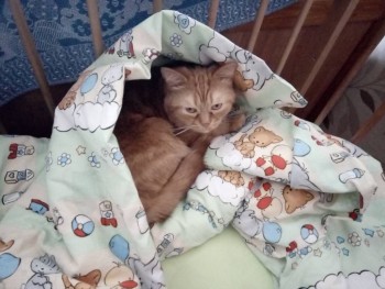 Наш вариант - P90504-145909.jpg