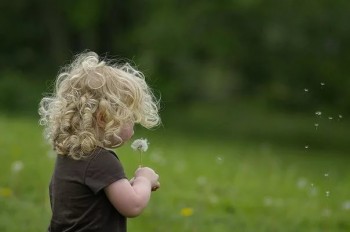 Очень хотелось дочку, возраст от годика и выше. Младенцев не рассматривала.