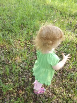 А это моя мелкая, фото вчерашнее.