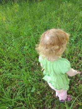 Жду приемного ребеночка. А когда Вы дождались? - IMG_20190531_093932.jpg