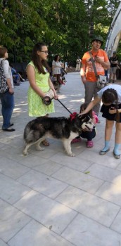 Наш Зайка - IMG-20190601-WA0011.jpeg