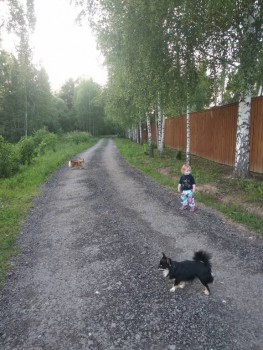 А где же общество??