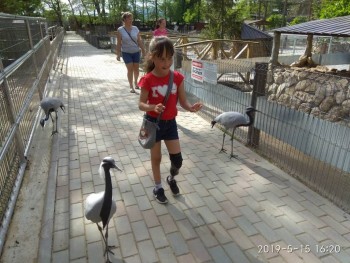  Национальные детки в приемных семьях - IMG-0b35d545ee9a99132699edc7de17551c-V.jpg