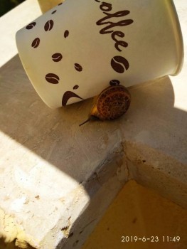 Улиточку притащила