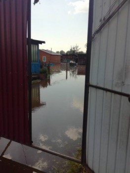 Моя  Венеция