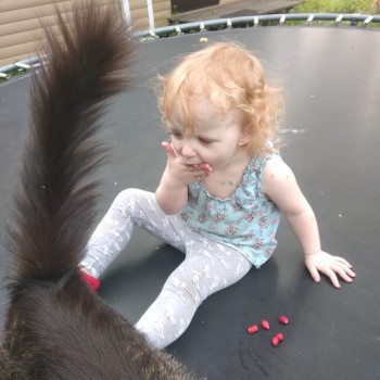 "Быстрее надо съедать, а то много их тут "несчастных" ходют."