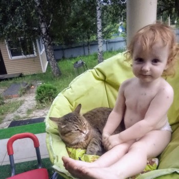 Это самый старший кот, был подобран восемь лет назад недалеко от дачи, на прогулке в день Рождения старшей.