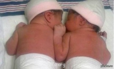 В мире интересного - 1388755356_1618496786.jpg