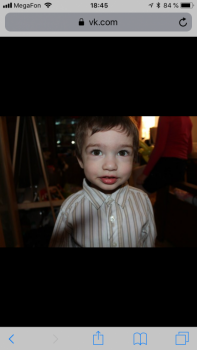 Наш Вовка - подросток - 2C5A302A-DF22-457A-90CE-858AA52D9FF8.png