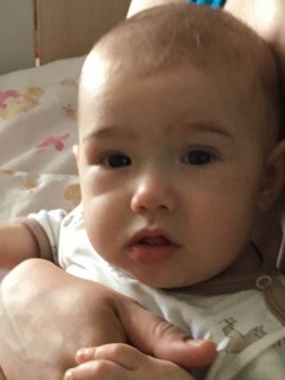 Наш Вовка - подросток - 5AF1E931-6942-49F6-BDAB-FFC47B30628B.jpeg