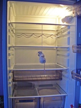 Перлы изопек - 1.jpg