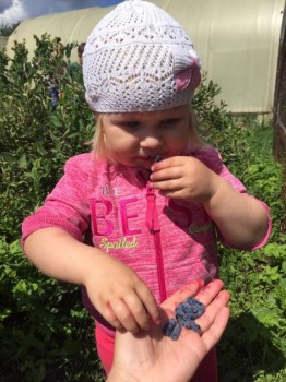 Солнечного настроения тем, кто ищет своих детей  - дома 6.jpg