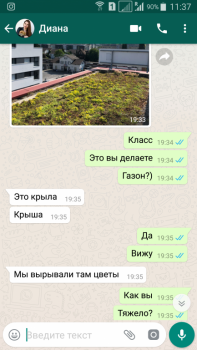 Пишет нам каждый день.