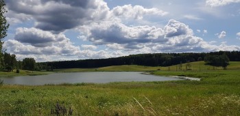 Наш вариант - 65275208_2278816168867785_3238560745985671168_n.jpg