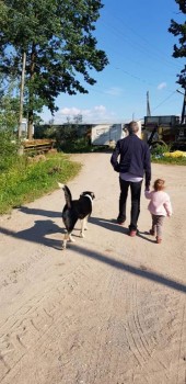 Наш вариант - 65582464_2278824745533594_5691254485255454720_n.jpg