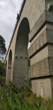 Наш вариант - 65770889_2278849188864483_5660898485336014848_n.jpg