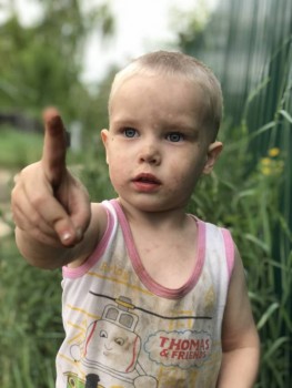 Дачник)))) дедушкин помощник)