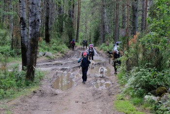 Лагеря для наших детей - 48204130402_156420bf3b_o.jpg