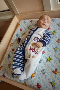 Малыши из Томска - 20190815_Вершинина_4760_L_3888.jpg