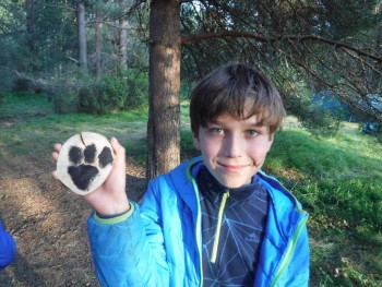 Мишкина лапа.