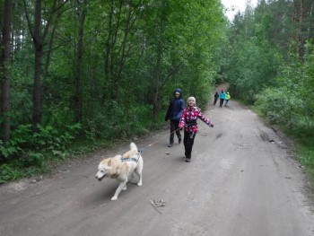 Учимся ходить с хасками.