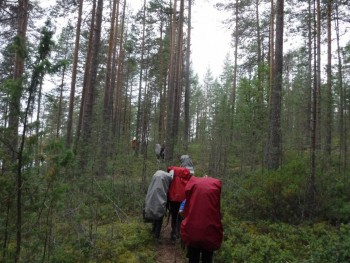 Ящички-мешочки, дальние дороги... Нам бы сесть, отдохнуть - так устали ноги...