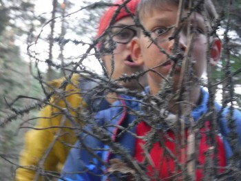 Через тернии к звездам.