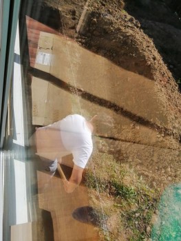 Мишаня. Ну, этот копает исключительно в светлом... И ведь чистенький.