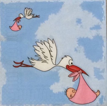 Малыши из Томска - аистыt-s.jpg