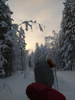 Лагеря для наших детей - UXUd9sjiULY.jpg