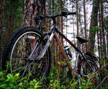 Лагеря для наших детей - ybmSz15X3OA.jpg