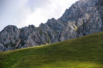 Лагеря для наших детей - Ir5Tv1F6eSM.jpg