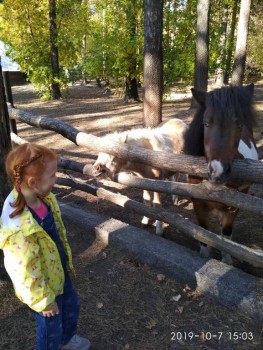 Моя история. Приёмный ребенок-младенец. - IMG_20191007_150342.jpg