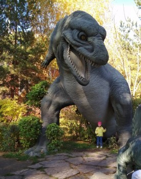 Моя история. Приёмный ребенок-младенец. - IMG_20191007_184824.jpg