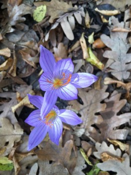 У природы нет плохой погоды - 13B7EAFA-1F20-43E7-BAE6-45EA45281B3E.jpeg