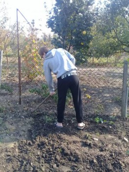 Солнечного настроения тем, кто ищет своих детей  - в саду1.jpg