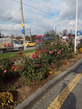 Становление Нашей приемной семьи. - IMG-20191122-WA0082.jpg