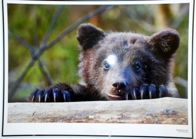 Куда сходить с ребенком - DSC_0266.JPG