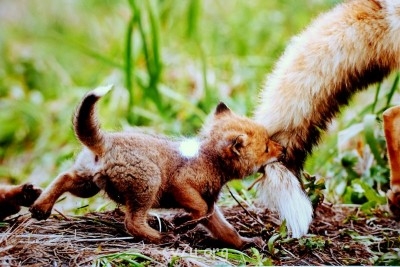 Куда сходить с ребенком - DSC_0269.JPG