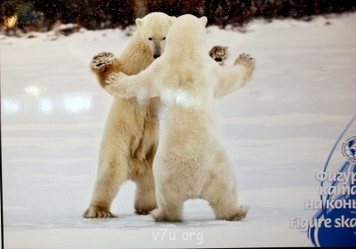 Куда сходить с ребенком - DSC_0271.JPG