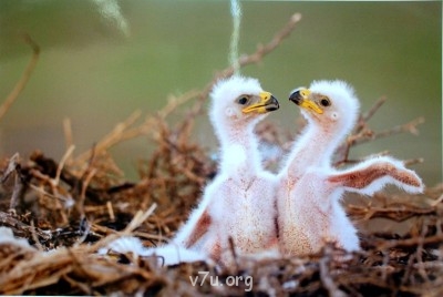 Куда сходить с ребенком - DSC_0272.JPG