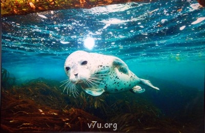 Куда сходить с ребенком - DSC_0312.JPG